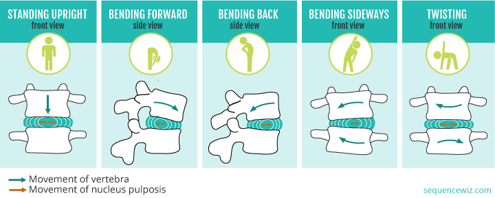 Effects of movements on discs